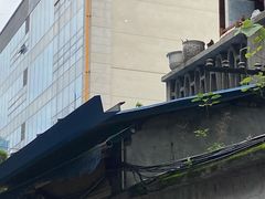-蓉城西二道无名冒菜(西二道街店)
