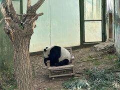 -栾川竹海野生动物园