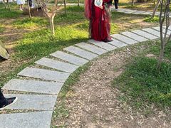 -广州市帽峰山景区