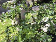 -荆川公园