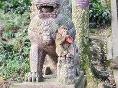 -峨眉山风景名胜区