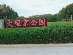 -大望京公园