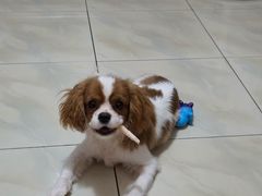 -美联众合24小时·皮肤科·外科·全科诊疗中心(华苑分院)