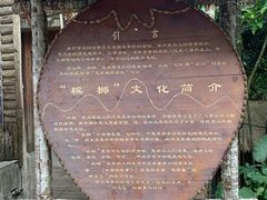 -海南槟榔谷黎苗文化旅游区