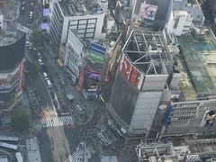 -涩谷全向十字路口