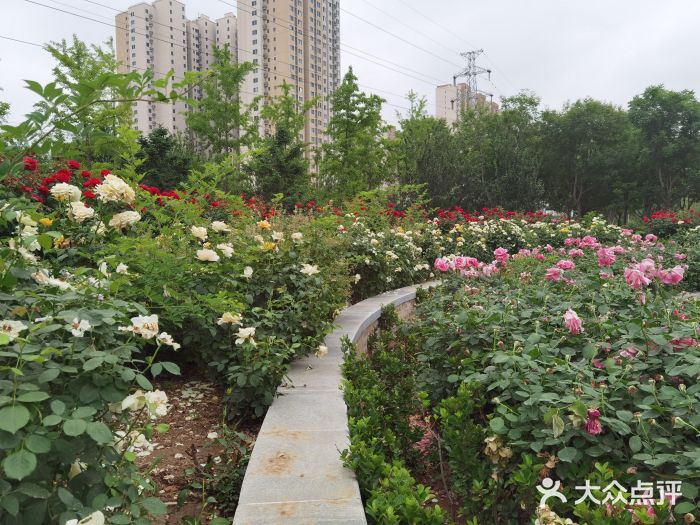 坝河休闲公园图片