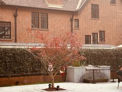 -一尺花园(安和花园店)