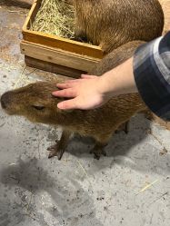 -Zoolung Zoolung动物主题公园(海信广场店)