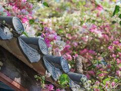 -深圳国际园林花卉博览园