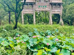 -西溪国家湿地公园