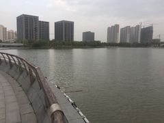 -南翔镇银翔湖公园