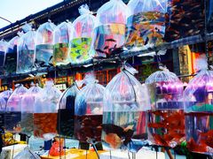 -华声天桥民俗文化园