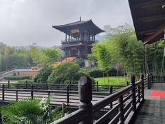 -大唐贡茶院