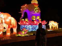 -印象普陀