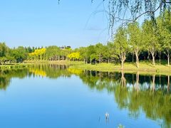 -东郊湿地公园