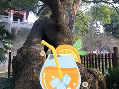 -南岳大庙