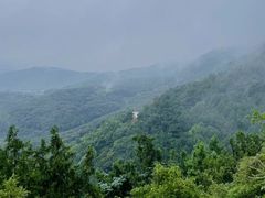 -北京西山国家森林公园