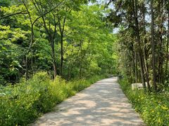 -宜昌富力皇冠假日酒店·咖啡1号西餐厅