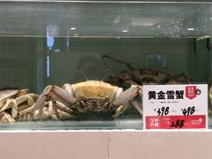 -万龙洲海鲜(大兴绿地缤纷城店)