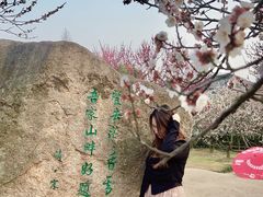 -香雪海