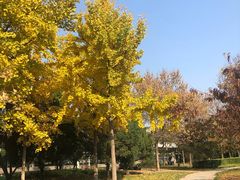 -北极寺公园
