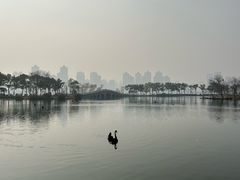 -武汉动物园