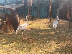 -杭州野生动物世界