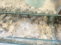 -仙螺岛海鲜自助餐厅(总店)