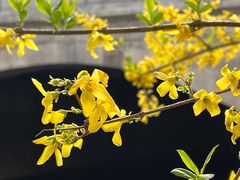 -海棠花溪(元大都城垣遗址公园)