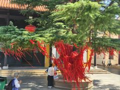 -迎江寺
