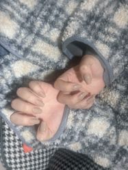 -ChuLian初莲日式美甲美睫