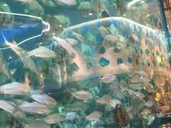 -瑞德姆美人鱼海底演艺主题餐厅(亚龙湾店)