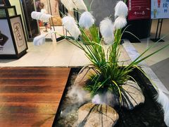 -老头儿油爆虾(星光一期店)