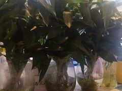 -文昌林记清补凉(万达广场店)