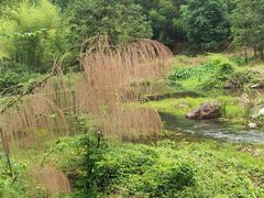 -千泷沟大瀑布旅游区