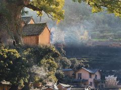 -杨家堂村