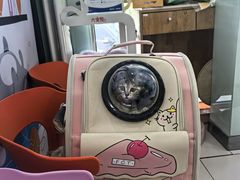 -纳吉亚猫专科动物医院博雅分院