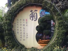 -西北湖绿化广场