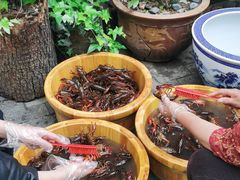 -可可大虾武汉土菜大排档(万松园1店)