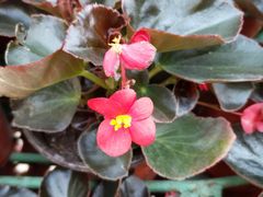 -哈尔滨文化公园