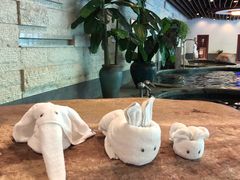 -天目湖涵田半山温泉