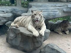 -北京野生动物园