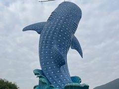 -横琴湾畔餐厅(长隆海洋王国白鲸剧场店)