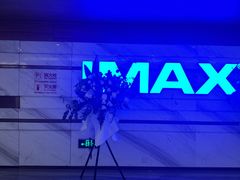 -英皇电影城(英皇集团中心IMAX店)