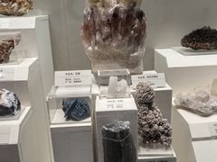 -天津自然博物馆