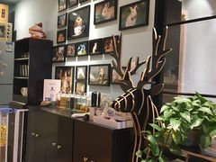-藦茜花园宠物主题亲子互动体验馆(国顺东路店)