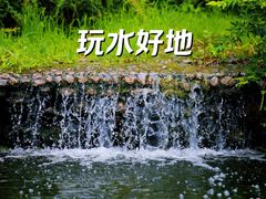 -朝阳公园