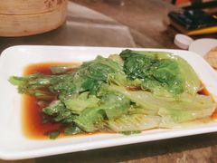 -金鼎轩(方庄天坛店)