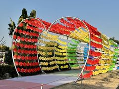 -广东花都香草世界旅游度假区