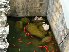 -南京市江宁方山